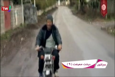 راه - درخت معرفت | پخش زنده شبکه امید - ۱۴ آبان ماه ۱۳۹۸